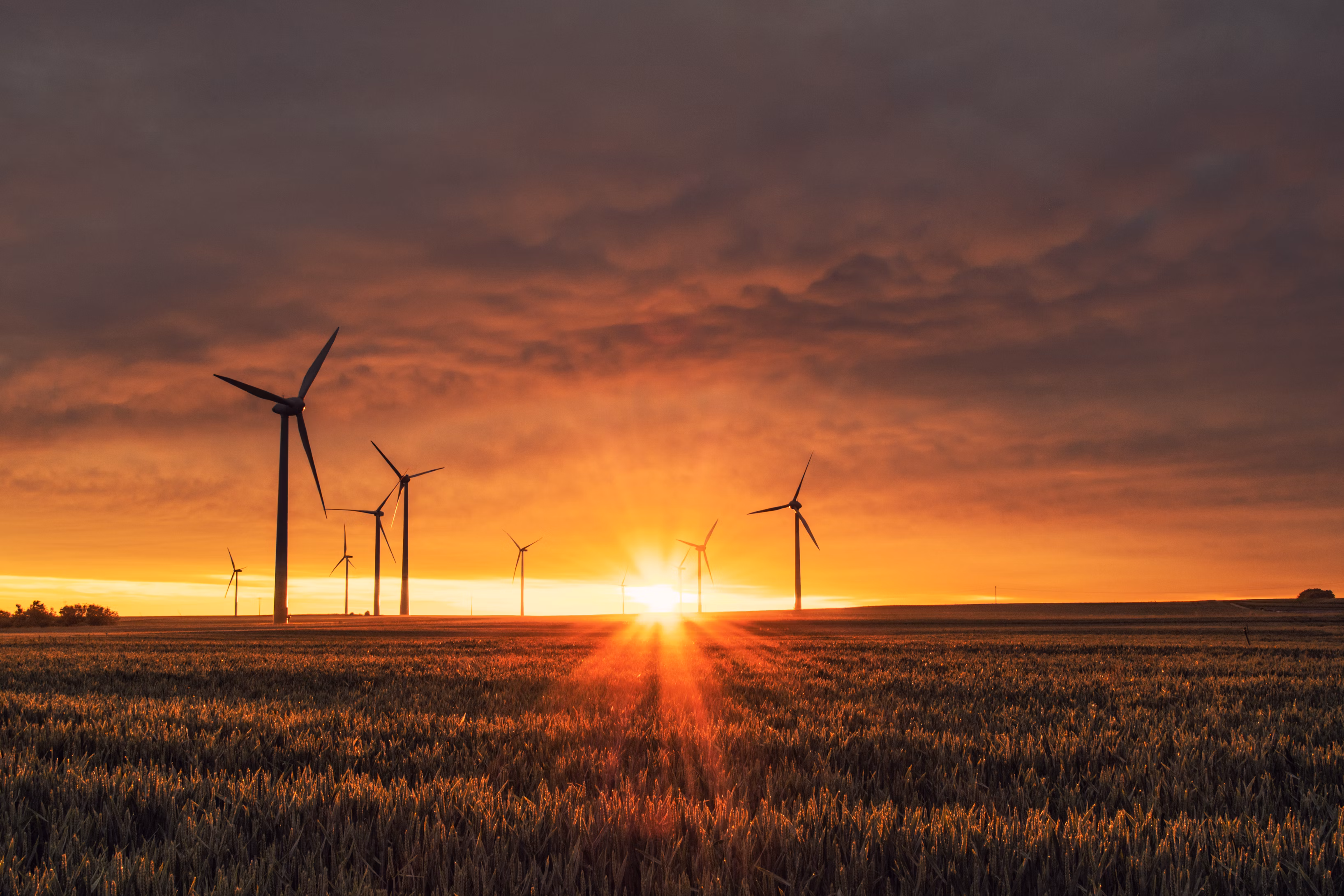 Wind Blade Technology 4